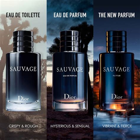 dior homme sport vs sauvage|is dior sauvage worth it.